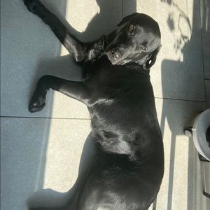 Meet your Posher, Robert